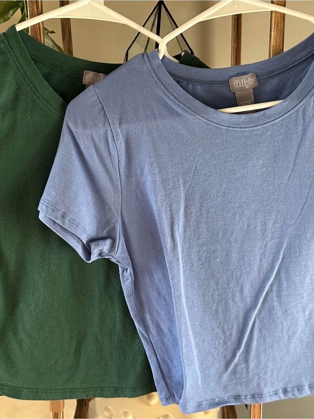 Tilly's/RSQ Basic Crop Tees (2-Pack Bundle)